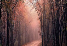 欧博：法媒：基米希拒绝阿森纳2500万欧&巴黎4000万欧年薪，选择留拜仁.