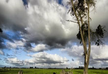 欧博：骑士60胜！哪个队比骑士更黑马？太阳这下真的难了！.