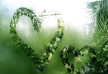 2025年01月11日法乙巴斯蒂亚vs阿雅克肖历史战绩，交战记录，比分预测.