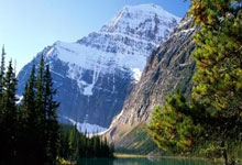 欧博：50岁丘索维金娜复出，冲击洛杉矶奥运会中新体坛.